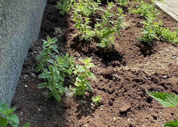 # 1 Ommi Kese Penthouse Mit Privater Panorama Sauna * Olpe bei Meschede